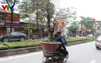 Người dân Hà Nội tấp nập sắm đào, quất đón Tết