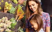 Tỷ phú xinh đẹp Jessica Alba khoe nhà đẹp như trong mộng