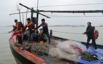 16 tiếng vật lộn với sóng dữ lai dắt tàu cá bị nạn