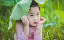 "Thiên thần" nhí cười đáng yêu dưới lá sen