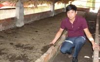 Bài thuốc quý chữa huyết áp cao từ dược liệu sạch