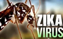 Lãnh đạo TP HCM kiểm tra công tác phòng chống dịch Zika