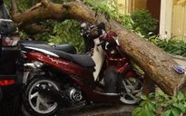 Ưu tiên mọi nguồn lực đầu tư ứng phó với thiên tai và biến đổi khí hậu