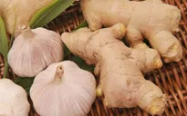 Các loại thảo dược chữa nhiều bệnh hiệu quả
