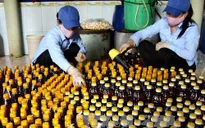 Bộ Y tế cho biết: 100% mẫu nước mắm đều an toàn