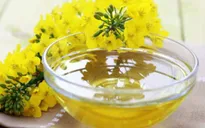 Tác dụng của dầu cải trong việc giảm mỡ bụng