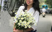 Mùa cúc họa mi