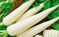 Tác dụng chữa bệnh tuyệt vời của củ cải trắng