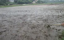Phú Thọ: Dân bỏ trắng ruộng vì nhà máy xử lý rác gây ô nhiễm