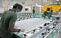 Ấn Độ sẽ đầu tư hơn 3 tỷ USD để sản xuất pin mặt trời