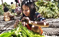 Mối nguy hại sức khỏe đối với lao động trẻ em tại các trang trại thuốc lá Indonesia