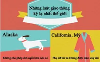 [INFOGRAPHIC] Những luật giao thông kỳ lạ nhất thế giới