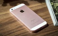 Điện thoại giá rẻ ngày càng phổ biến