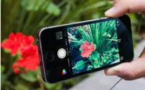 iPhone 4 inch mới dự kiến mang về cho Apple 5,5 tỷ USD