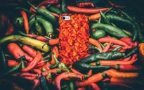 iprice ra mắt ốp lưng… có thể ăn được dành cho iPhone SE