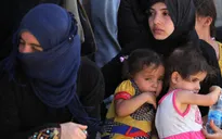 Hơn một nửa số người chạy trốn khỏi Mosul là trẻ em