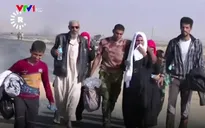 IS bắt người dân Iraq làm "lá chắn sống"