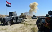 Iraq bắt hơn 500 tên IS lẩn trốn khỏi Fallujah