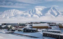 Hình ảnh khó tin trong những ngày đông Nhật Bản