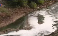 TP.HCM đề nghị cưỡng chế các DN không khắc phục ô nhiễm môi trường