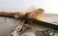 Bạc Liêu chi gần 3 tỷ đồng gia cố kè Gành Hào