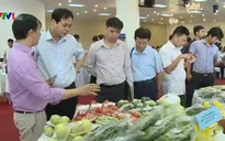 Khai mạc Tuần lễ nhận diện nông sản thực phẩm an toàn Việt tại Hà Nội