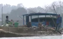 Nhức nhối nạn khai thác cát trái phép trên sông Chu, Thanh Hóa