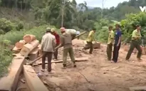 Phát hiện vụ phá rừng phòng hộ có tổ chức tại Đăk Lăk