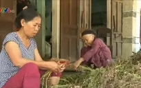 Tin thầy thuốc rởm, hàng ngàn dân nghèo tiền mất, tật mang