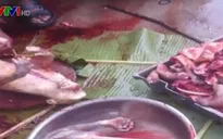 Công khai giết thịt, buôn bán cao khỉ trái phép