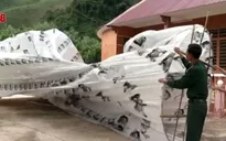 Khinh khí cầu lạ rơi xuống nhà dân ở Quảng Nam không đáng lo ngại