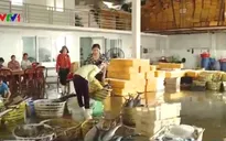 Giải pháp nào cho hải sản đông lạnh tồn kho sau sự cố Formosa?
