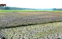 Miền Trung đối mặt với khô hạn và thiếu nước
