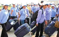 Xử phạt lao động bất hợp pháp tại Hàn Quốc: 2 năm chưa phạt được ai
