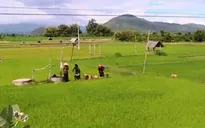Nông dân ở "chảo lửa" Gia Lai tự khoan giếng... lấy nước trồng lúa