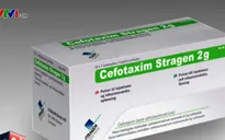 Bộ Y tế khuyến cáo đặc biệt với kháng sinh Cefotaxim