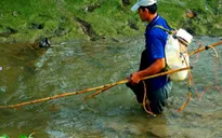 Cần Thơ nghiêm cấm sử dụng xung điện đánh bắt thủy sản