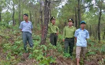 Kiểm tra công tác phòng, chống cháy rừng tại nhiều địa phương