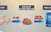 Khó kiểm nghiệm dư lượng kháng sinh trong chăn nuôi