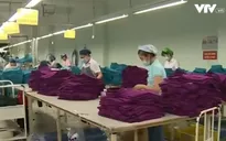 Doanh nghiệp gặp khó vì kiểm tra chuyên ngành