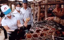 Kiểm tra các lò giết mổ gia súc, gia cầm dịp Tết