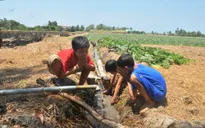 200.000 người dân Kiên Giang thiếu nước sạch