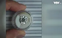 Nhà hảo tâm Mỹ làm từ thiện viên kim cương trị giá 235.000 USD