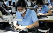 Tổng cục Thống kê dự báo kinh doanh khả quan hơn vào quý tới