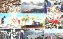 Dự kiến công bố Báo cáo Thường niên Kinh tế Việt Nam 2016 trong sáng 10/5