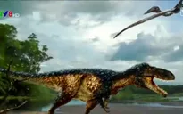 Phát hiện bằng chứng giải thích sự tiến hóa của khủng long bạo chúa
