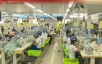 Kinh tế tư nhân - động lực quan trọng của nền kinh tế