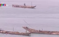 Sông Thạch Hãn "oằn mình" vì nạn cát tặc
