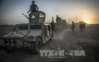 Iraq, Libya giải phóng nhiều khu vực quan trọng khỏi tay IS