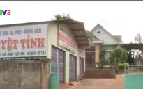 Gia Lai: Đại lý nông sản vỡ nợ, nông dân điêu đứng